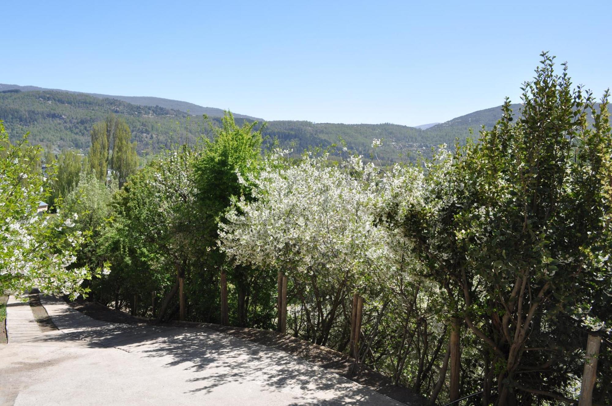 Melodia Natural En San Martín de los Andes Exteriör bild